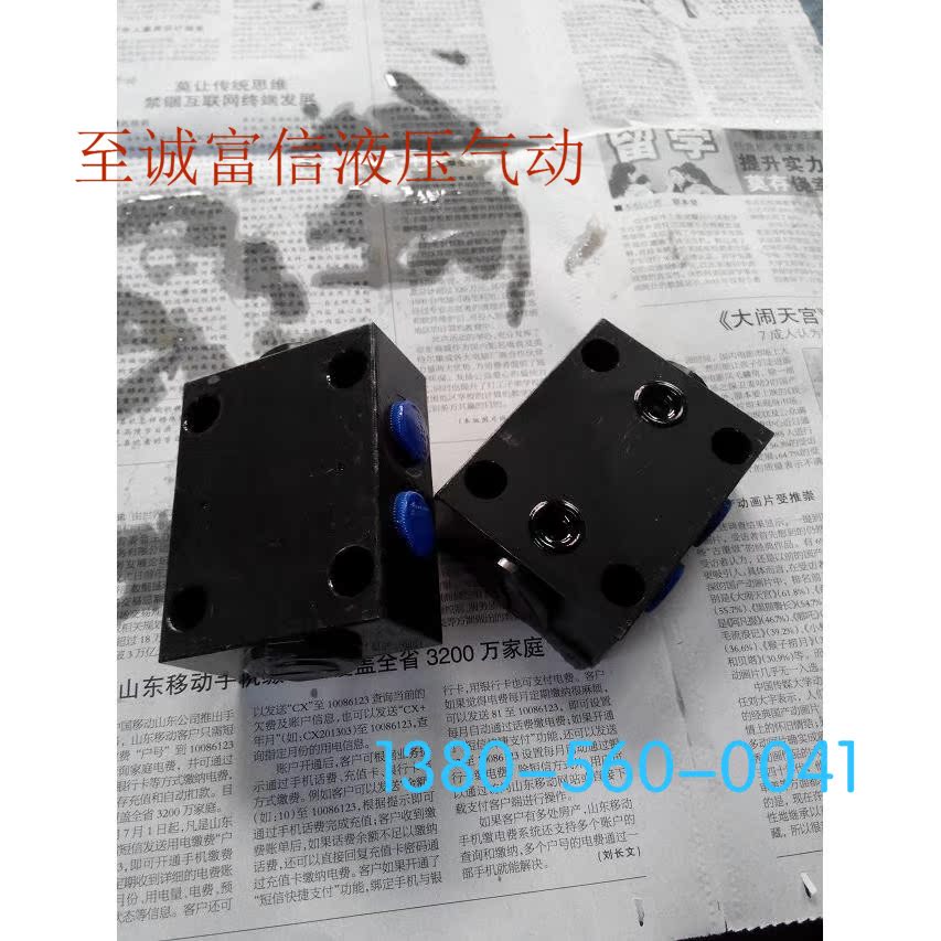 双向液压锁 SO-H6L-10 13 27江都鼎晟液压BQ2201-1  5 江都力顿