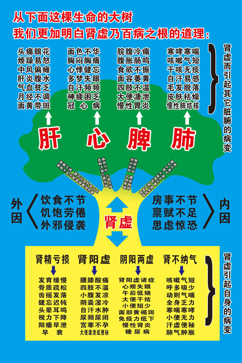 740海报印制展板写真喷绘贴纸157健康知训生命的大树健康树