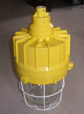 BAD82-L250hb1HZ隔爆型防爆灯 HRD82防爆高效节能HID灯(IIC)