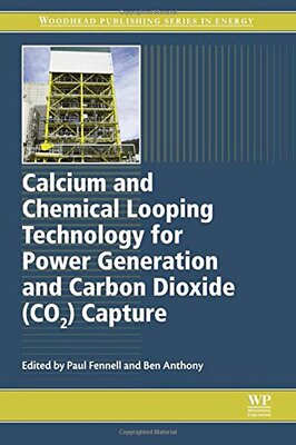 【预售】Calcium and Chemical Looping Technol...