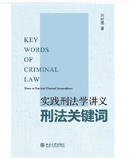 现货正版  实践刑法学讲义刑法关键词   刘树德著  北京大学出版社  9787301249161