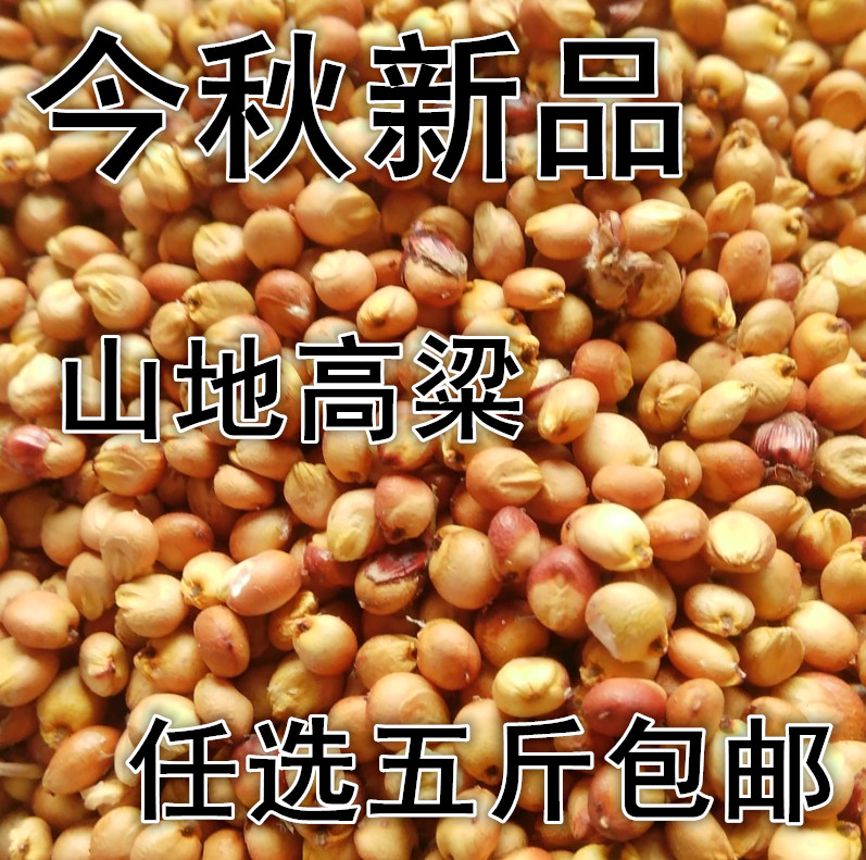 带皮 高粱  蜀黍,桃黍,木稷,荻粱  粗粮  散装称重