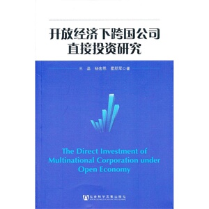 开放经济下跨国公司直接投资研究