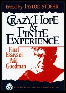 预售 Finite Crazy and Exp Hope