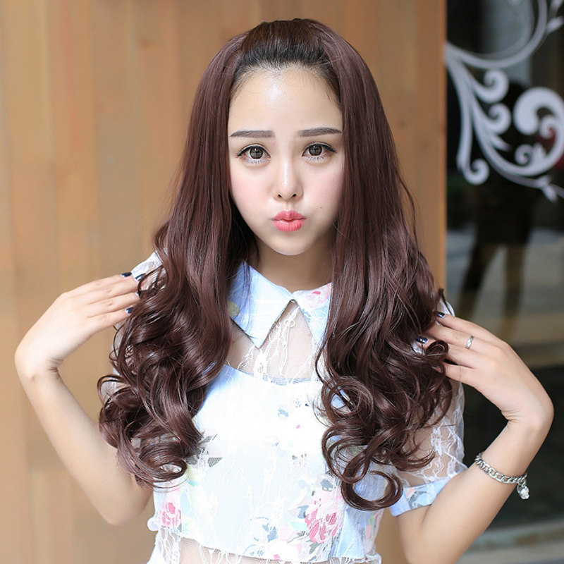 Perruque Les cheveux longs - Ref 2613873 Image 1