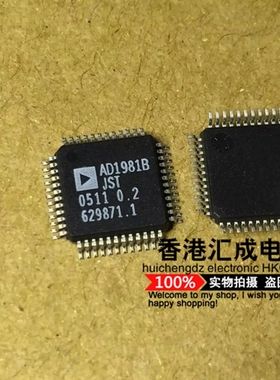 AD1981BJST AD1981BJ AD1981B AD1981 QFP48 全新原装现货
