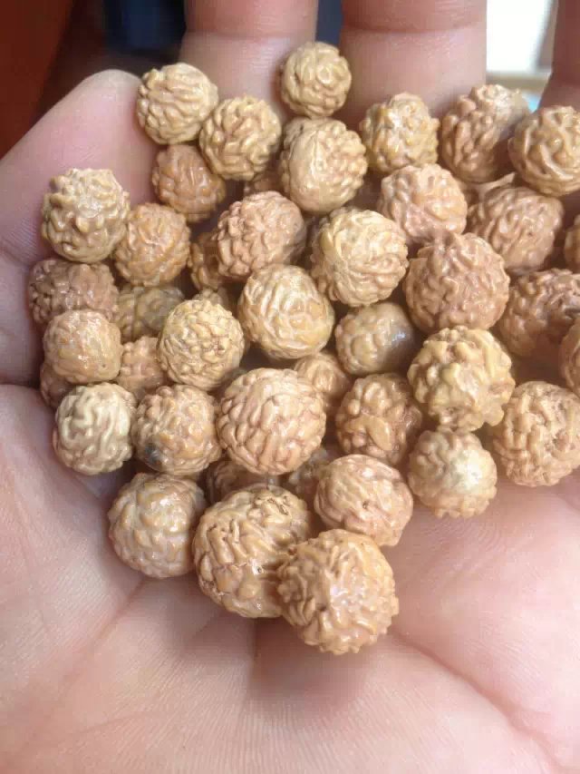 野生酸枣核 山枣核胡 小金刚 凤眼 佛珠散珠原籽手串原料