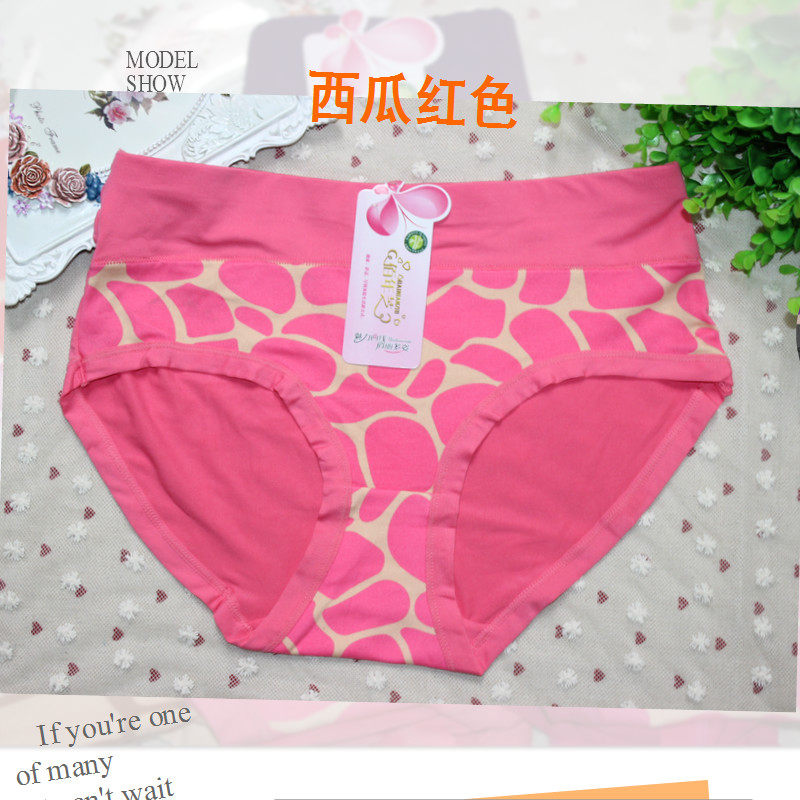 Slip Moyen-âge simple en coton - Ref 645206 Image 1