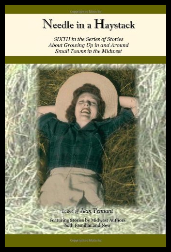 【预售】Needle in a Haystack: Sixth in the Series of Stor