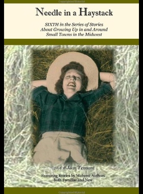 【预售】Needle in a Haystack: Sixth in the Series of Stor