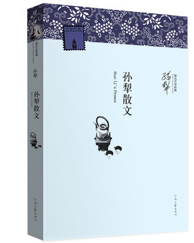【官方自营】孙犁散文 现代文学经典 孙犁 著 河南文艺出版社旗舰店正版