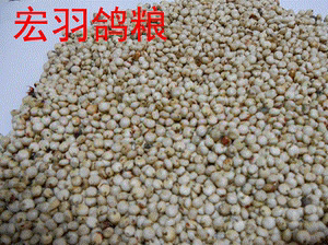 有机带壳白高粱米 未脱皮颗粒饱满 鸽用杂粮1斤(只发江浙沪皖）