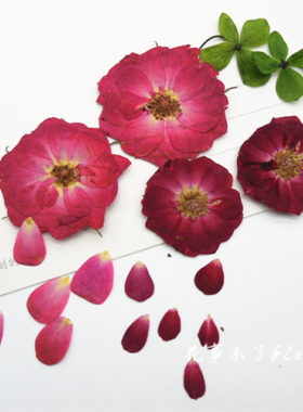 diy滴胶植物标本未了flower干花