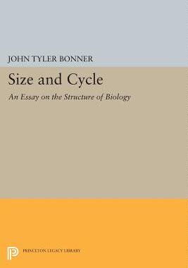 【预售】Size and Cycle: An Essay on the Stru...