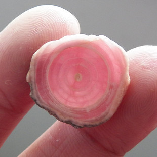 天然阿根廷红纹石冰种菱锰矿桃花眼原料矿标收藏手工磨制DIY克价