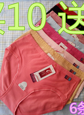 紫红天中腰内裤女士纯棉底裤细橡筋红色净色中老年女三角内裤5070