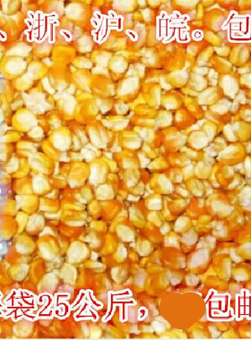 鸽子玉米饲料/玉米鸽粮/鸽专用玉米小金黄/50斤包邮