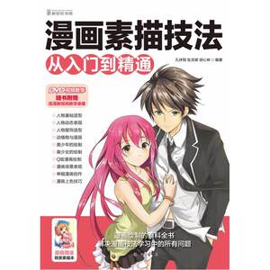 漫画素描技法从入门到精通(1DVD)（为您精心打造