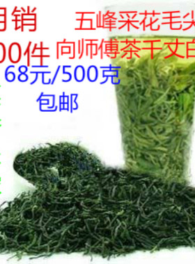 五峰云雾毛尖2026新绿茶采花湖北