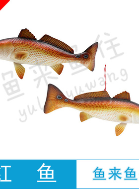 仿真海洋鱼商场橱窗家居餐厅摆设装饰塑料鱼仿真红鱼redfish模型