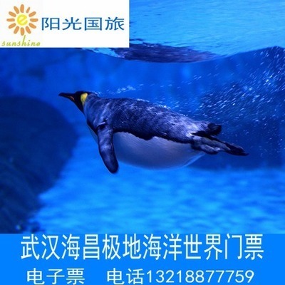 含萌宠乐园】武汉海昌极地海洋世界门票海洋馆