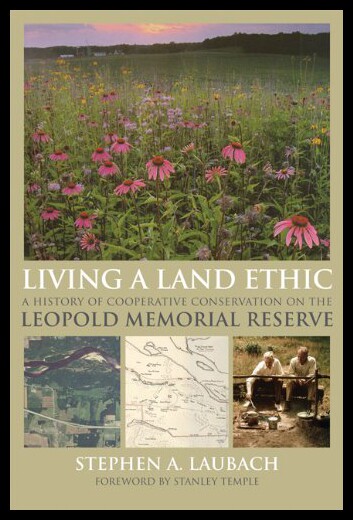 美国库房发货，通常付款后5-8周到货！