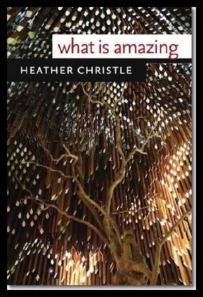 【预售】What Is Amazing [9780819573698]