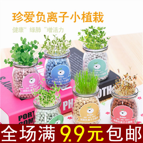 Ë®ÅàÅèÔÔ´´Òâ°ì¹«ÊÒDIY¸ºÀë×ÓСÅè¾° ×ÀÃæÃÔÄã¿É°®Ð¡²Ý΢¾°¹ÛÖ²Îï