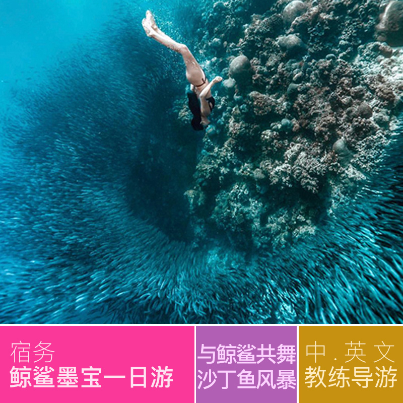 菲律宾宿务看鲸鲨墨宝沙丁鱼风暴宿雾奥斯洛布Oslob薄荷岛一日游在类目 度假线路/签证送关/旅游服务, 自由行/跟团游, 境外当地玩乐中 - 来自Buy2taobao.com提供专业的淘宝代购服务