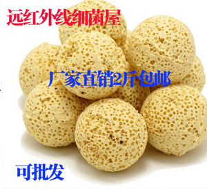 水族生物球生化球硝化细菌培菌过滤球鱼缸过滤材料水族箱 细菌球