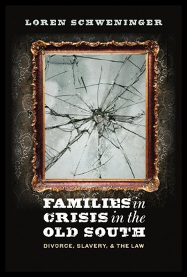 【预售】Families in Crisis in the Old South: Divorce, Sla