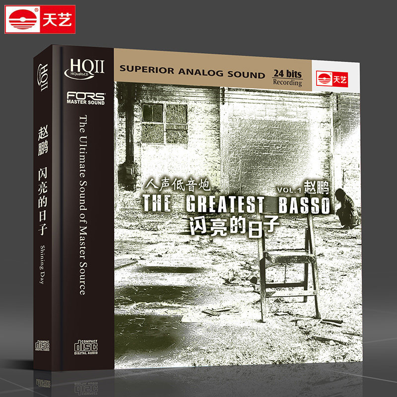 赵鹏闪亮的日子天艺唱片 高品质HIFI发烧车载音乐CD