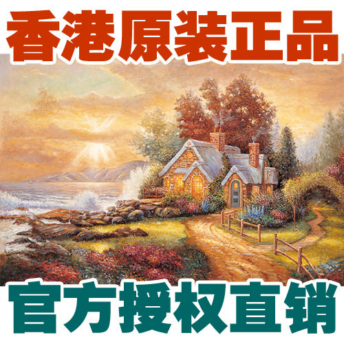 香港高级环保夜光智力拼图