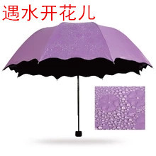 包邮 黑胶太阳伞防紫外线遇水开花伞防晒折叠晴雨伞特价 创意 韩版