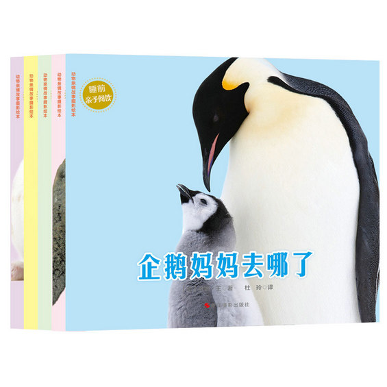 正版现货 动物亲情故事摄影绘本(共5册) 少儿阅读 亲子读物 培养爱心 合作 沟通 动手能力 畅销书籍 音乐小童Do Re Mi 博库网