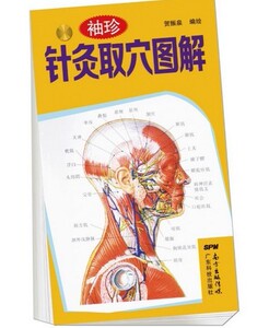 正版现货 袖珍针灸取穴图解 贺振泉编绘 广东科技出版社
