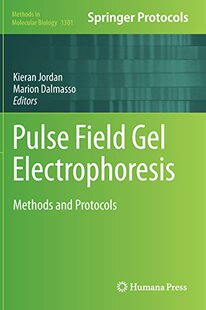 【预订】Pulse Field Gel Electrophoresis