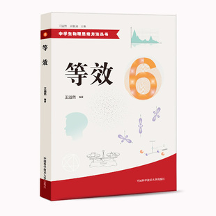官网正版现货 等效 王溢然 中学生物理思维方法丛书 中科大出版社官方直营