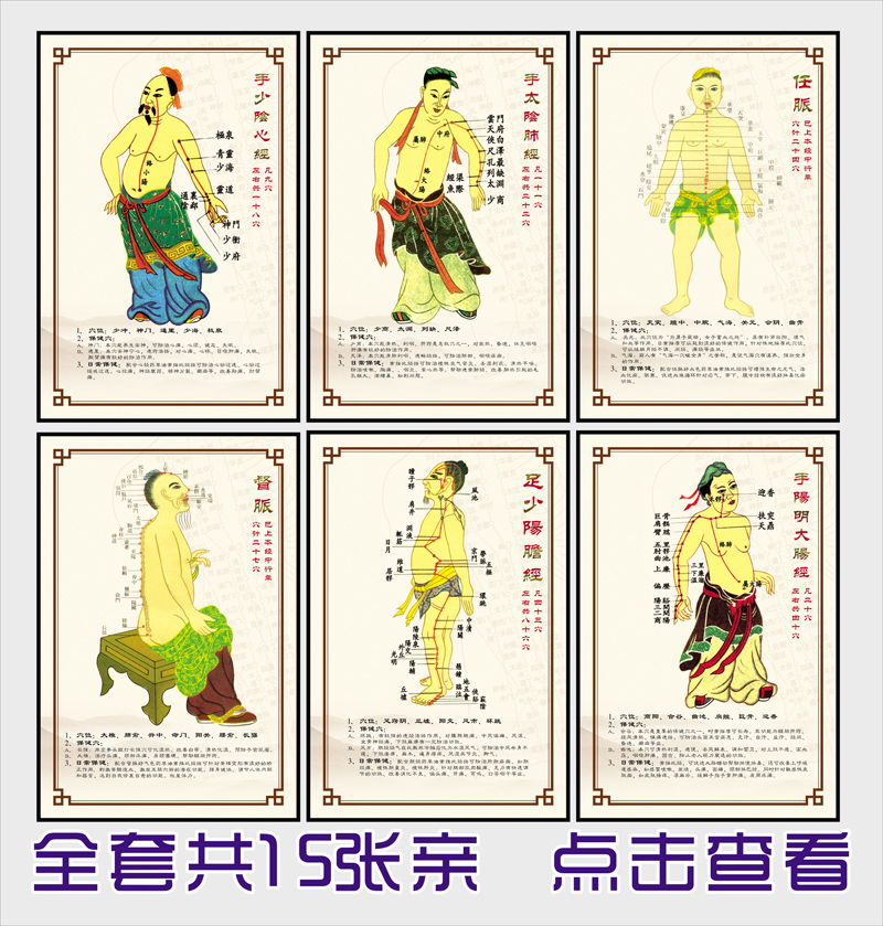 中医养生文化海报人体挂图