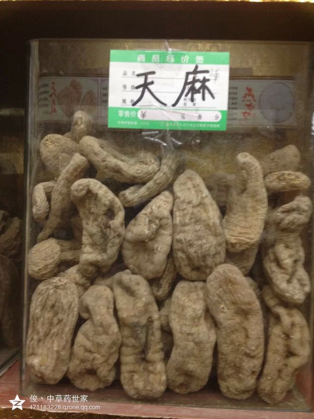 名贵中药材正品天麻 梦麻 赤箭 独摇芝 离母 神草 明天麻