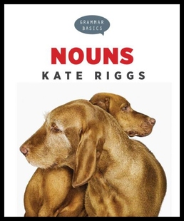Basics Grammar Nouns 预售