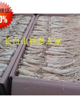 人参 白参 生晒参 6年根正品老参250克 年中特价促销包邮
