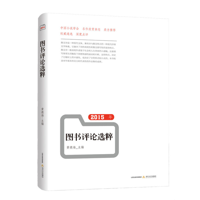 2015年书评选粹 书店 黄德海郭君臣 文学评论与研究书籍 书 畅想畅销书