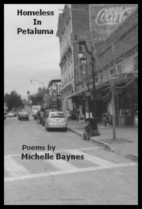 【预售】Homeless in Petaluma