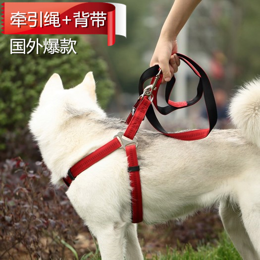 狗狗牵引绳胸背带狗链子项圈金毛德牧大型犬中型犬遛狗绳子用品