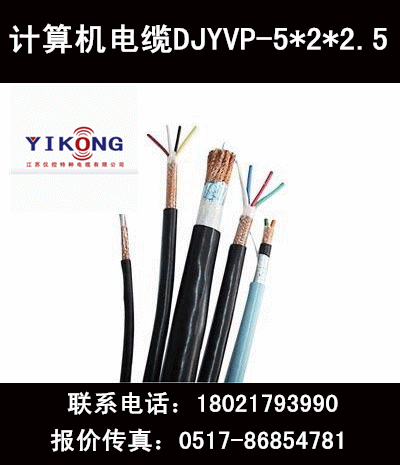 计算机电缆DJYVP-5*2*2.5现货供应厂家直销(价格以实际为准）
