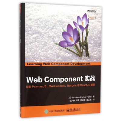 Web Component实战(探索PolymerJS Mozilla Brick Bosonic与ReactJS框架)