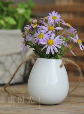 {康康时光}  鸡蛋形纯白吊花瓶 配麻绳 陶瓷迷你花器 zakka
