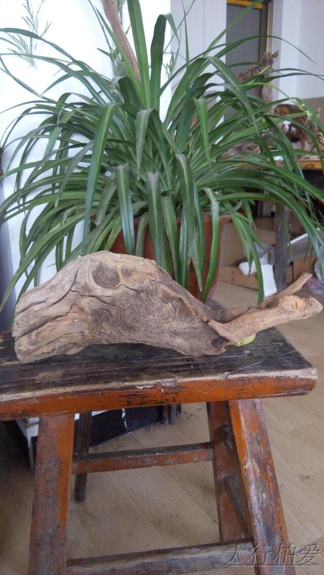Taihang Thuja Aging Powder Old material Root Marked modelling aggregate Distortion Hollow texture Decorationin the Home accessories , Carving , Root  category - from Buy2taobao.com to provide professional Taobao agent buy service