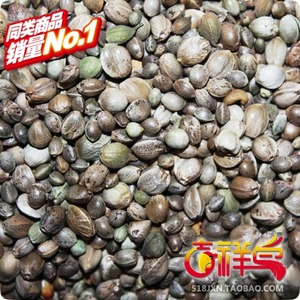 火麻仁 麻子 麻子仁 麻仁 500克 鸟食 玄凤 牡丹 仓鼠粮 鸟粮